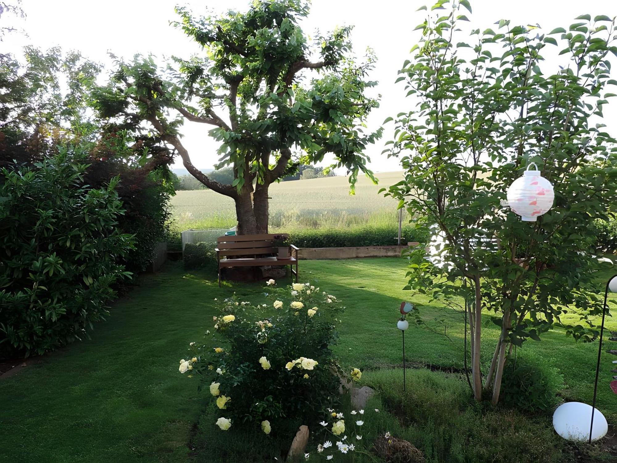Ferienwohnung Landblick Homberg  Luaran gambar